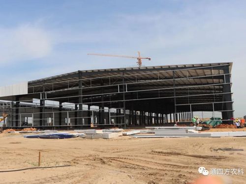 圖為通四方農(nóng)科成品倉 圖為通四方農(nóng)科成品倉